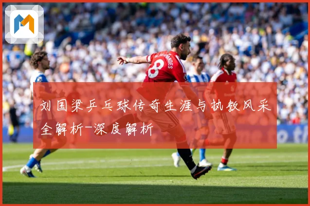 刘国梁乒乓球传奇生涯与执教风采全解析-深度解析