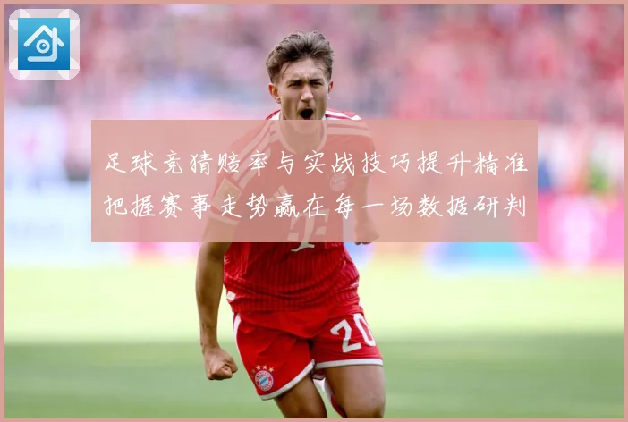 足球竞猜赔率与实战技巧提升精准把握赛事走势赢在每一场数据研判-深度解析